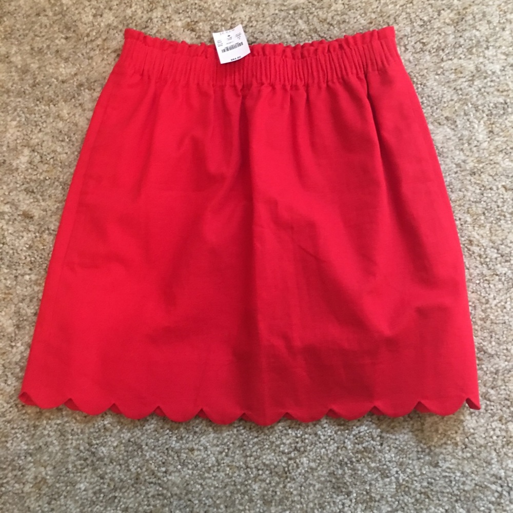 J. Crew skirt
